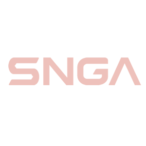 SNGA-ARD-1/380V جهاز التحويل الطارئ لانقطاع التيار باللغة الصينية
